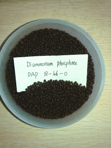 Fertilizer Compound Diammonium Phosphate 18-46-0 DAP
